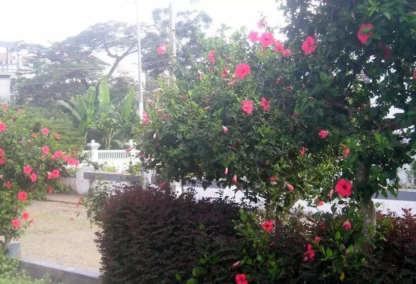 هتل Pousada Brava