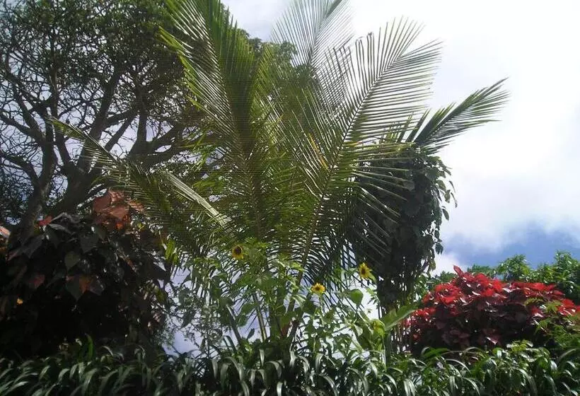 هتل Pousada Brava