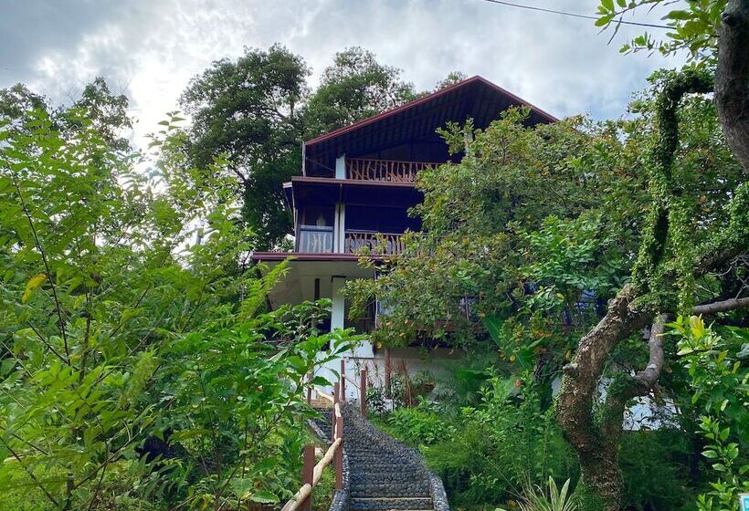 ペンション Ced Garden