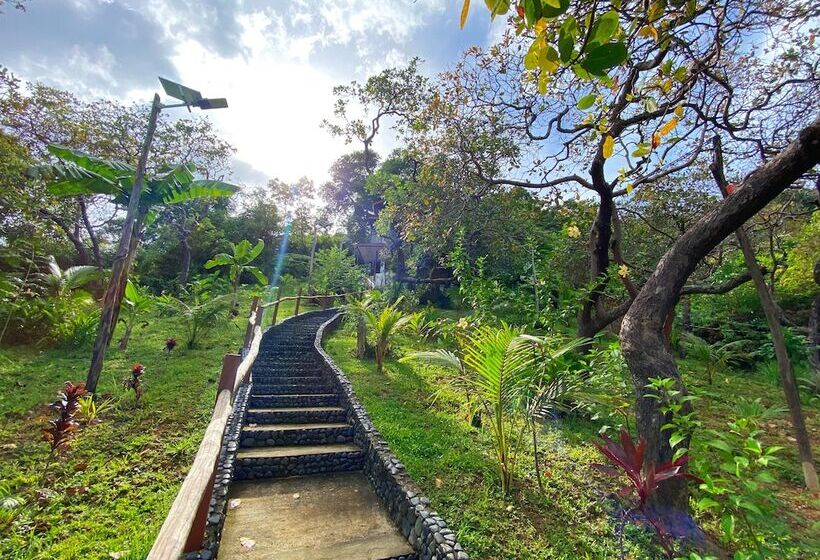 ペンション Ced Garden