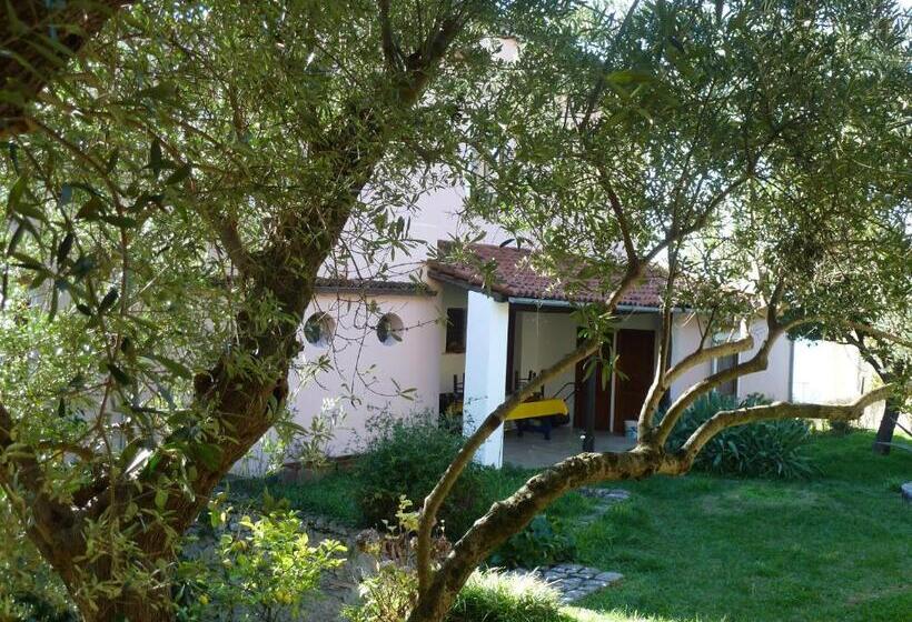 Casa Puccini B&b Maratea