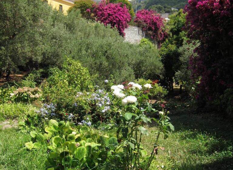 Casa Puccini B&b Maratea