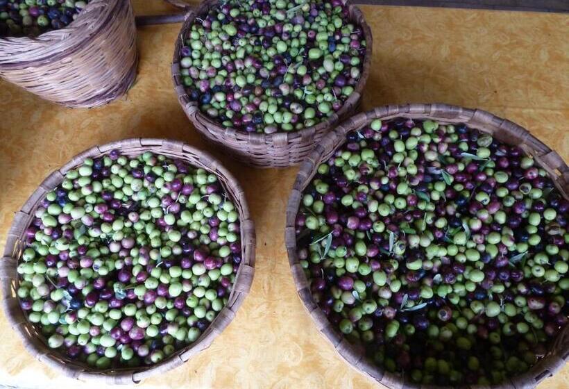 Casa Puccini B&b Maratea