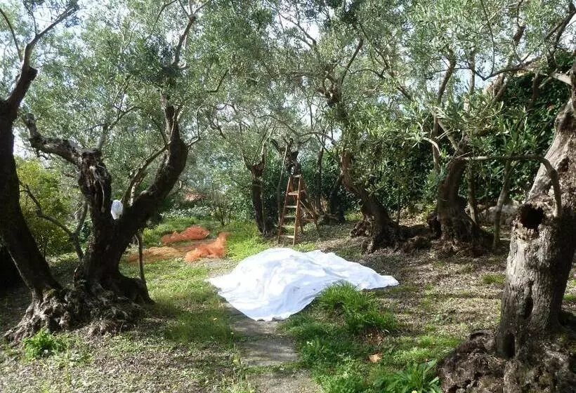 Casa Puccini B&b Maratea