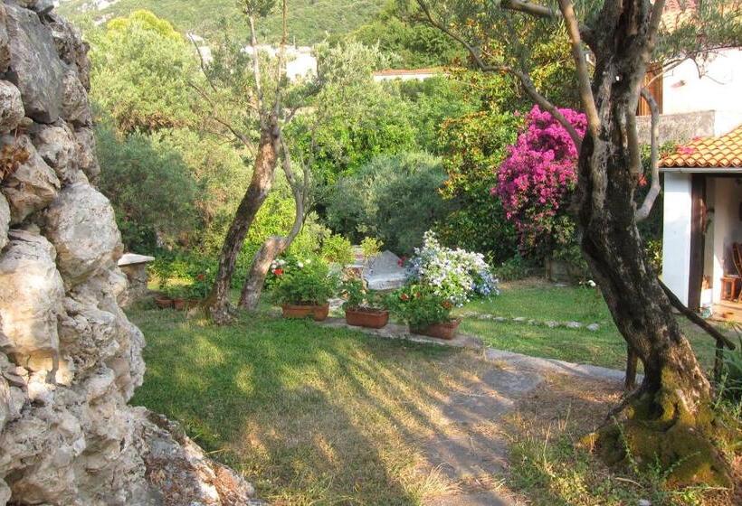 Casa Puccini B&b Maratea
