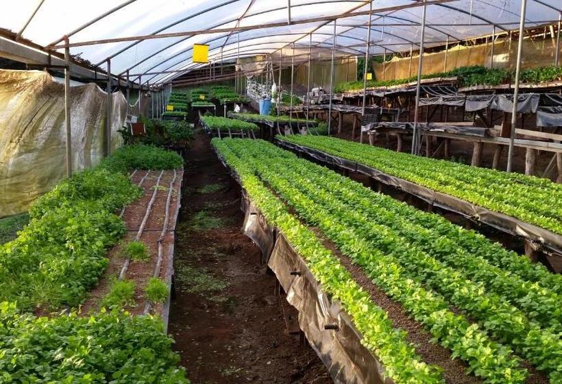 فندق Los Pinos Cabins & Reserve