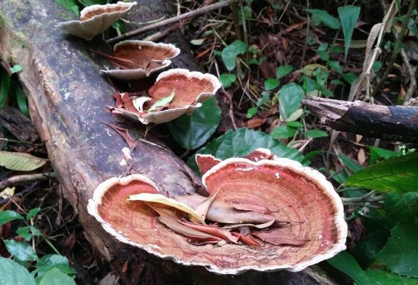 فندق Los Pinos Cabins & Reserve