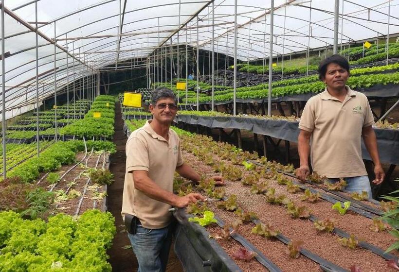 فندق Los Pinos Cabins & Reserve