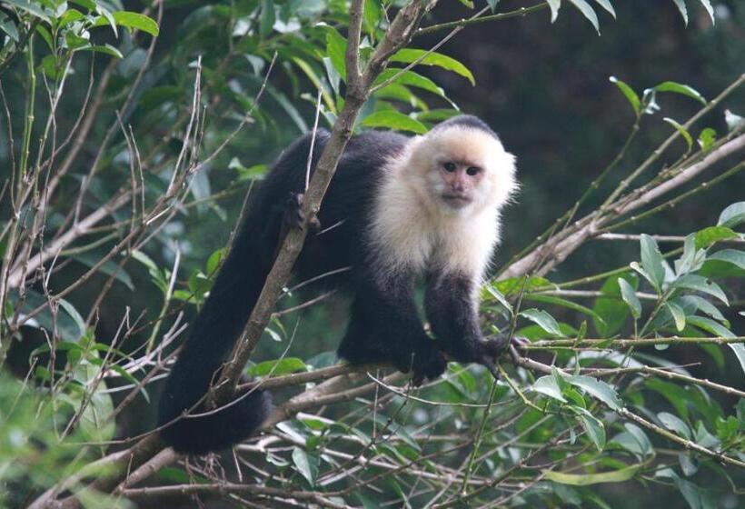 فندق Los Pinos Cabins & Reserve