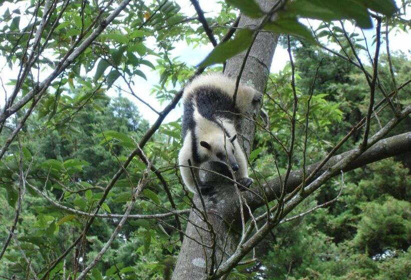 فندق Los Pinos Cabins & Reserve