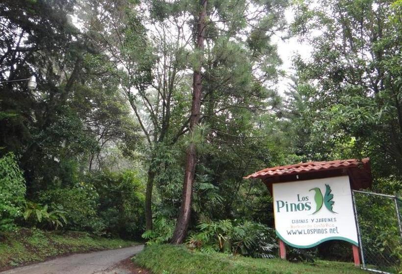 فندق Los Pinos Cabins & Reserve