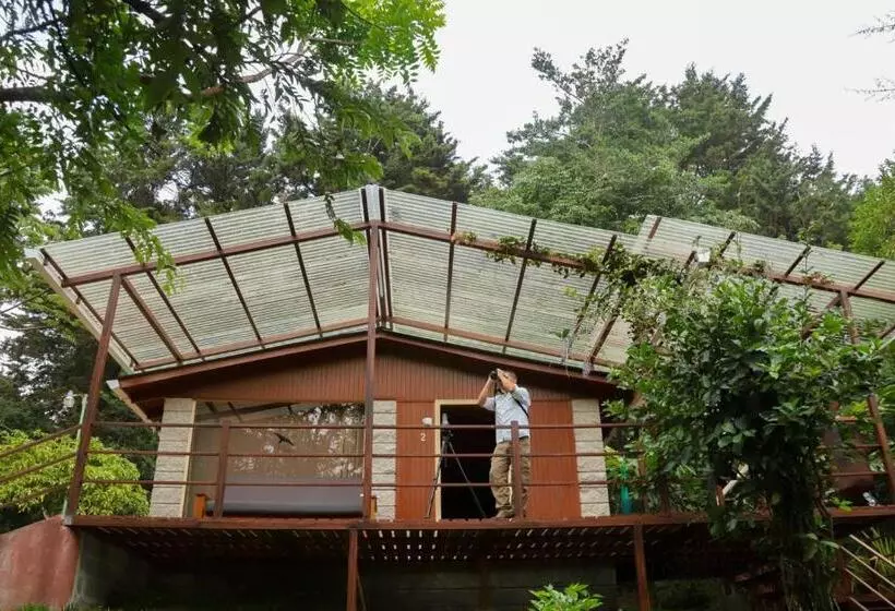 Hotelli Los Pinos Cabins & Reserve