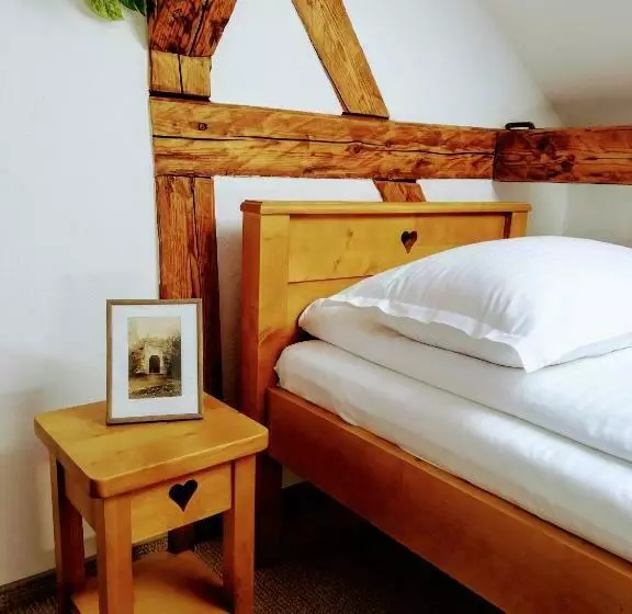 ペンション Casa Dávid Ferenc Ház