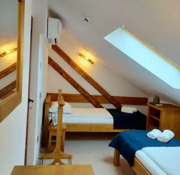 ペンション Casa Dávid Ferenc Ház