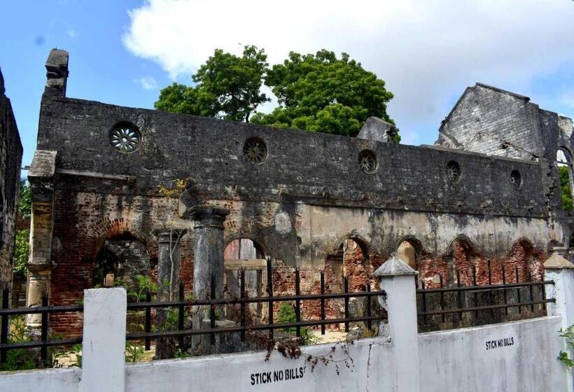 پانسیون Old Park Villa