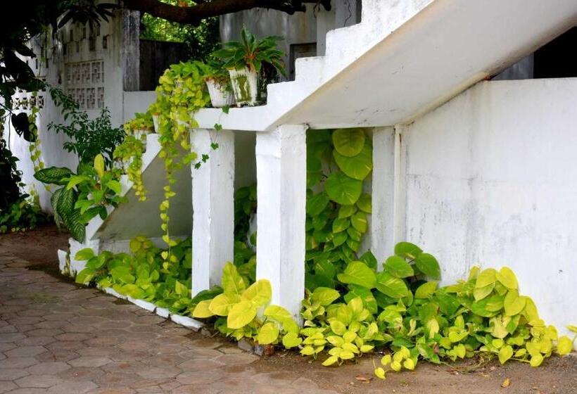 پانسیون Old Park Villa