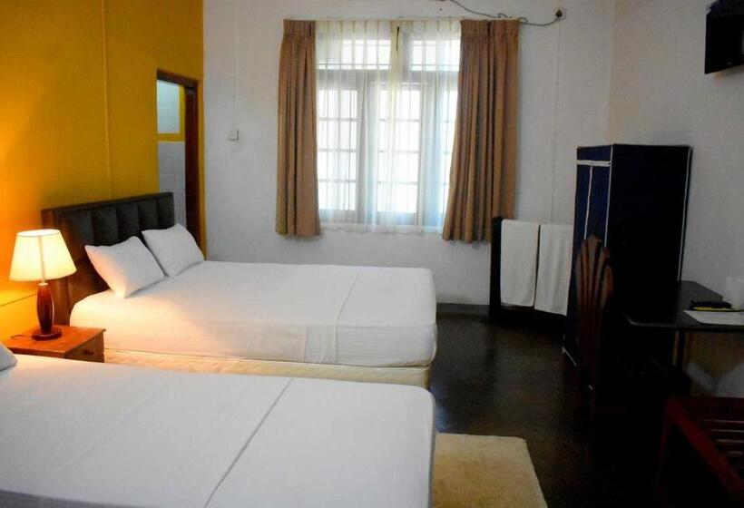 پانسیون Old Park Villa