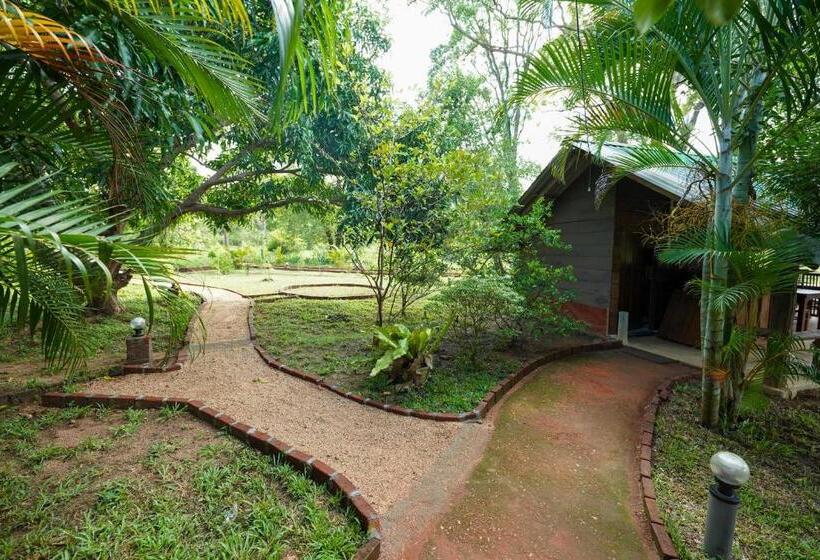 Pensjonat Sigiri Close Up View Guest