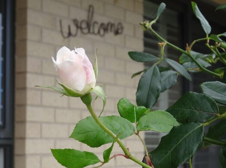 צימר The Oxley Estate