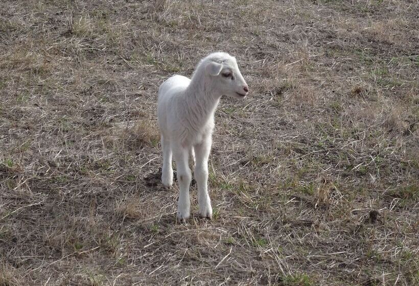 צימר The Oxley Estate