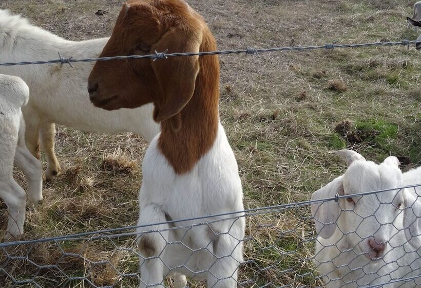 צימר The Oxley Estate