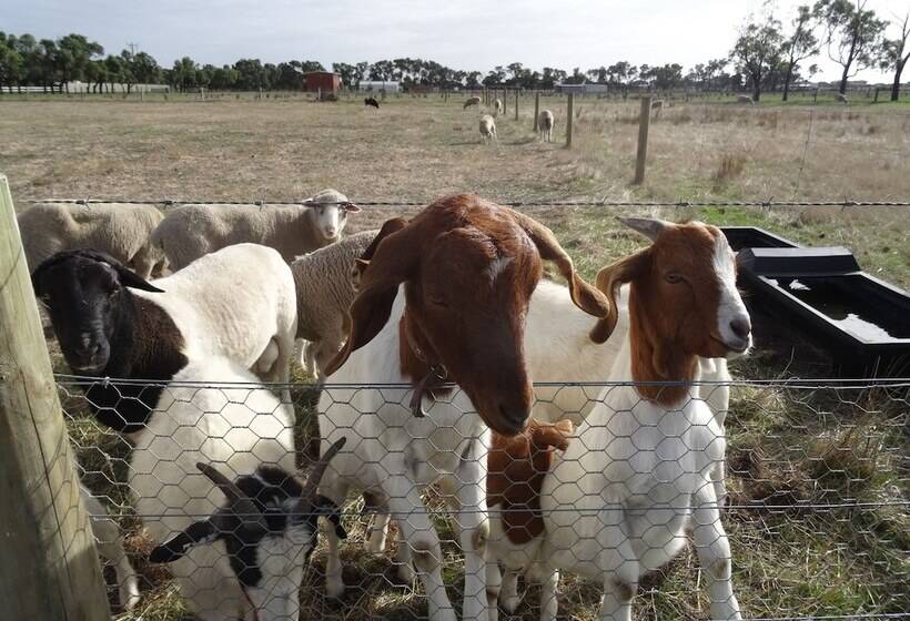 צימר The Oxley Estate