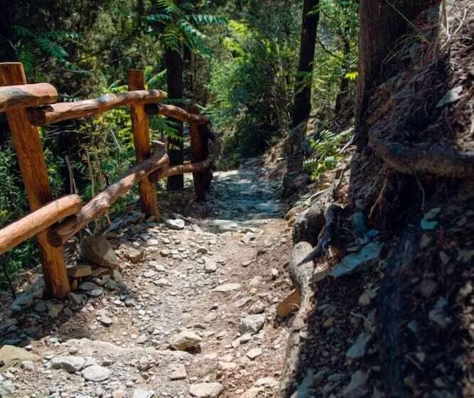 Отель Camping Village Panoramico Fiesole