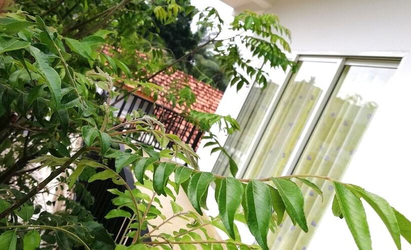 Отель Ocean Voyage