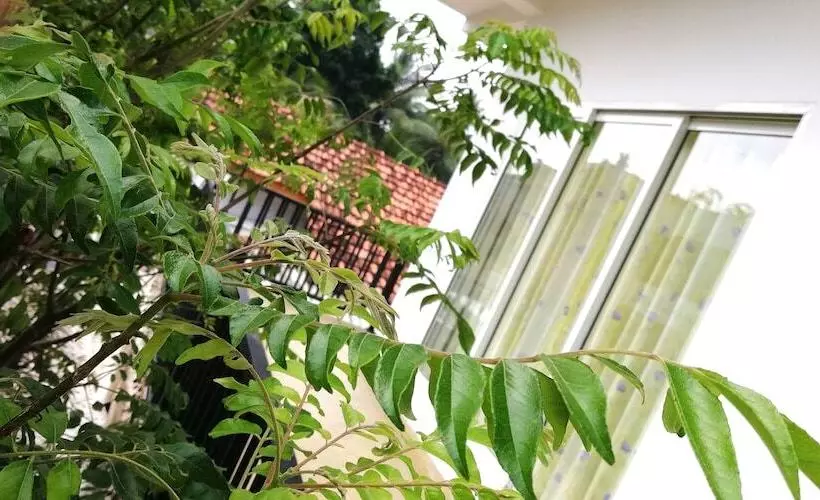 בית מלון כפרי Ocean Voyage