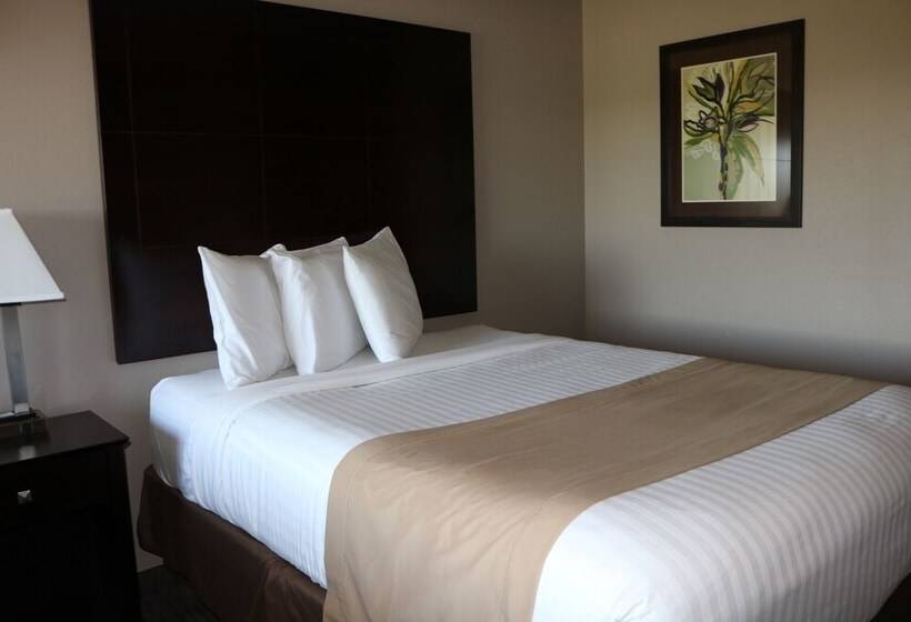 Qube Hotel Polk City