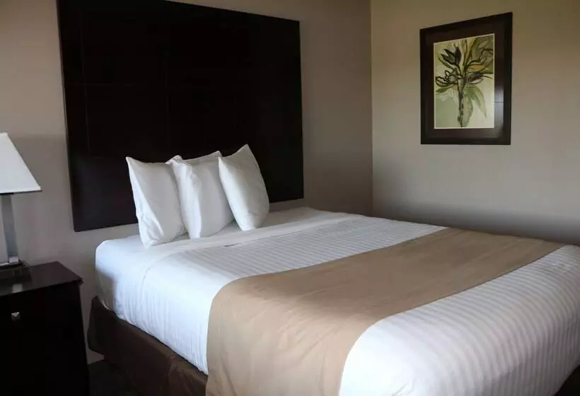 Qube Hotel   Polk City