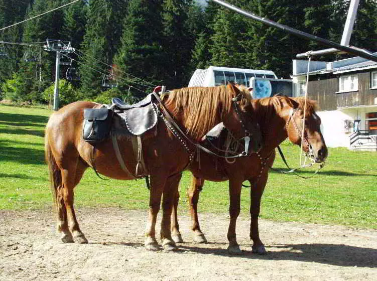 호텔 Tes Rila Park And Semiramida Apartments