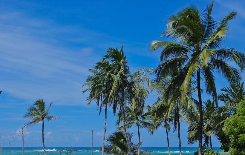 ホテル Wimals Resort