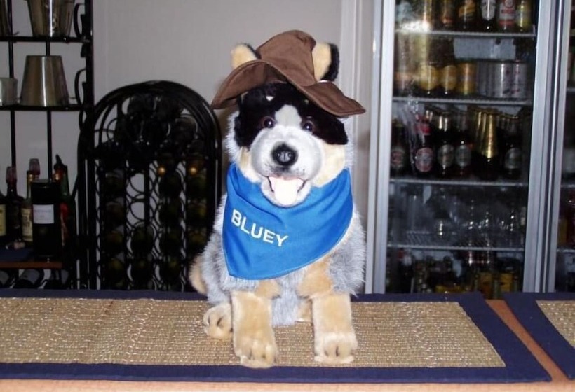 모텔 True Blue Motor Inn