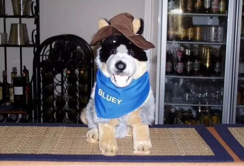 مُتل True Blue Motor Inn