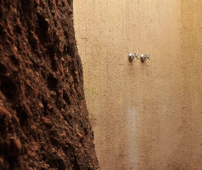 פנסיון Sunset Manor