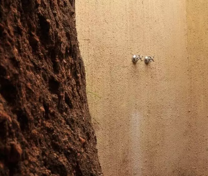 膳宿费 Sunset Manor