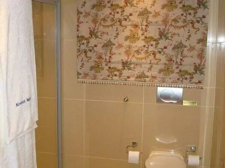 Aamiaismajoitus (B&B) Kosmos Manor