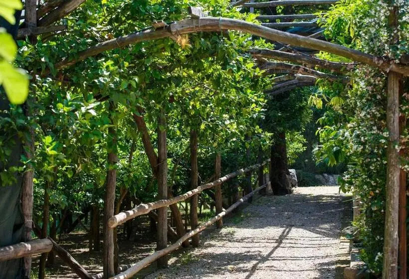Aamiaismajoitus (B&B) Villa Don Camillo