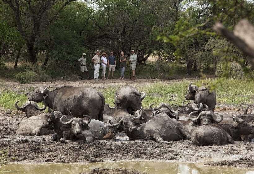 ホテル Kapama Buffalo Camp