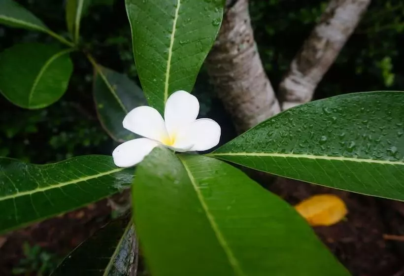 Hotelli Ruenthai Boutique