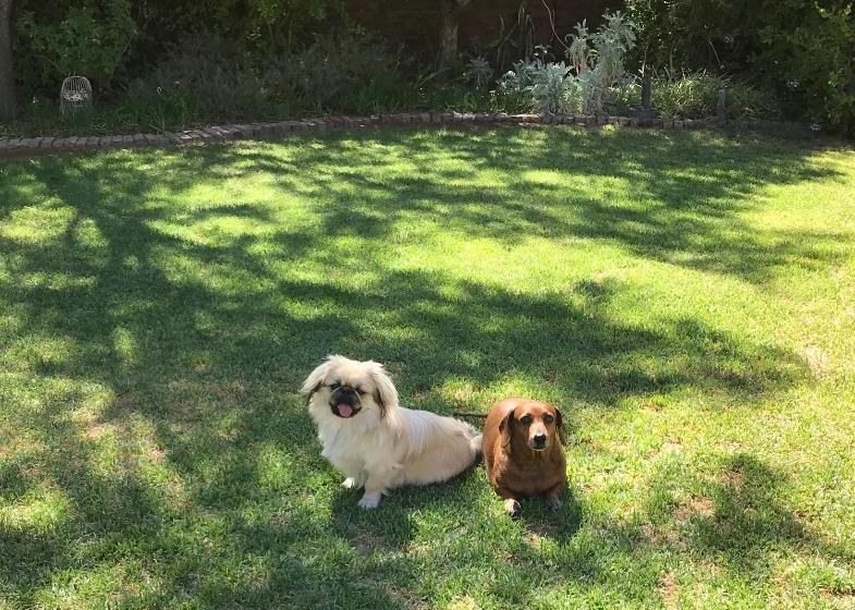 Pane Vivente Garden Cottage