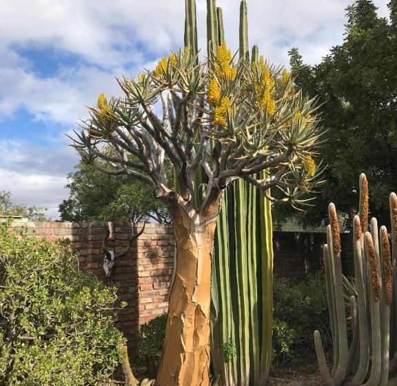 Pane Vivente Garden Cottage