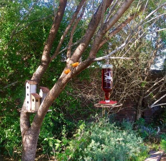 Pane Vivente Garden Cottage