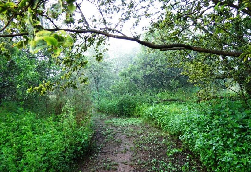 膳宿费 Meerkatplaats Guesthouse And B&b