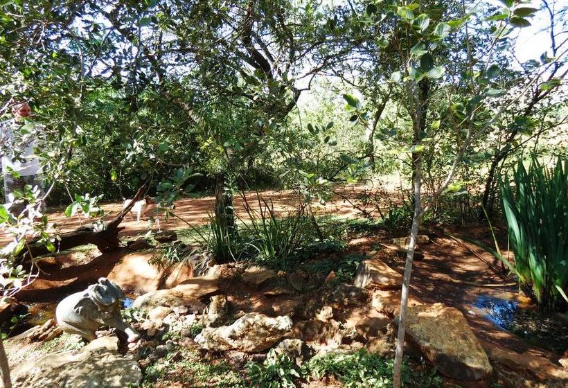 膳宿费 Meerkatplaats Guesthouse And B&b