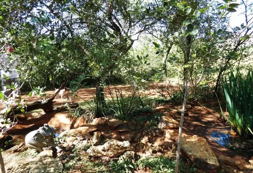 Majatalo Meerkatplaats Guesthouse And B&b