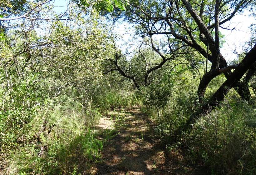 膳宿费 Meerkatplaats Guesthouse And B&b