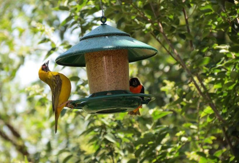 膳宿费 Meerkatplaats Guesthouse And B&b