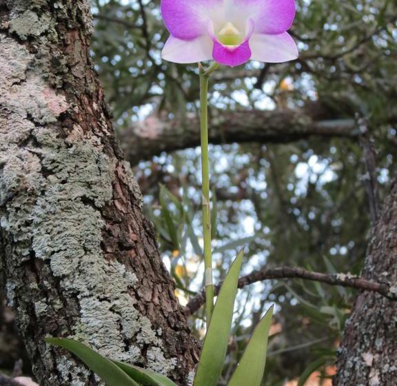 膳宿费 Meerkatplaats Guesthouse And B&b